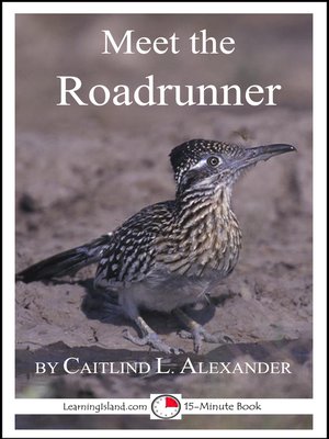 cover image of Meet the Roadrunner